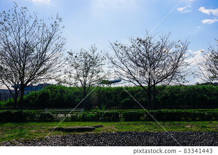 調布機場(東京都佐富市) 調布機場(東京都佐富市) 83341443