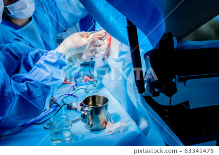 Bloodied hands of surgeons in sterile latex gloves with surgical instruments with traces of blood. Surgery. 83341478