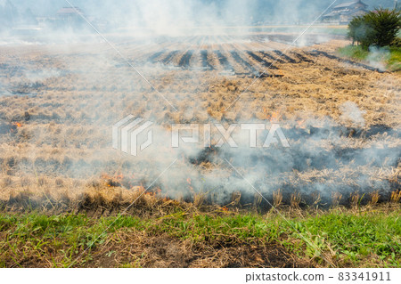 Autumn rice field grill [Azumino] 83341911