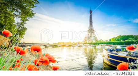 eiffel tour over Seine river 83342038