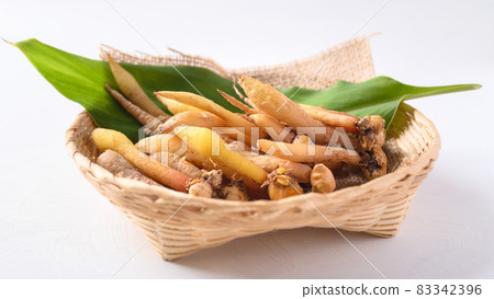 Fresh Kaempferia or fingerroot, Organic herbal plant Fresh Kaempferia or fingerroot, Organic herbal plant 83342396