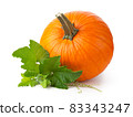 Ripe Pumpkin With Fresh Green Leaves Isolated 83343247