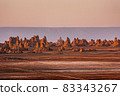 Sizzling limestone chimneys at Lake Abhe in Djibouti 83343267