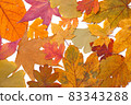 Bright Colorful Autumn Leaves Background Flat Lay 83343288