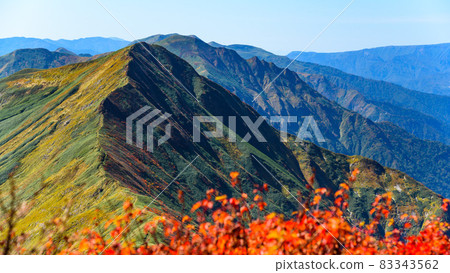 Tanigawa mountain range and autumn scenery with colorful autumn leaves 83343562