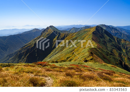 Tanigawa mountain range and autumn scenery with colorful autumn leaves 83343563