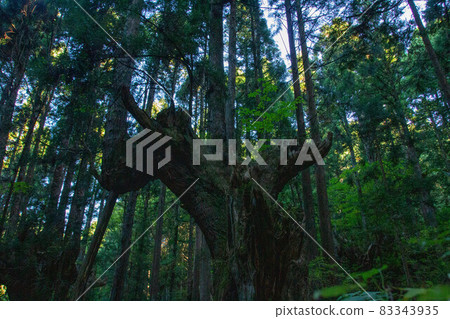 On the majestic earth On the majestic earth 83343935