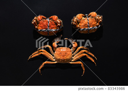 boiled Shanghai hairy crab or Chinese mitten crab (Eriocheir sinensis) with Chili and herb on black background boiled Shanghai hairy crab or Chinese mitten crab (Eriocheir sinensis) with Chili and herb on black background 83343986