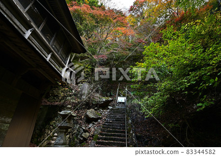 青倉神社的秋葉 青倉神社的秋葉 83344582
