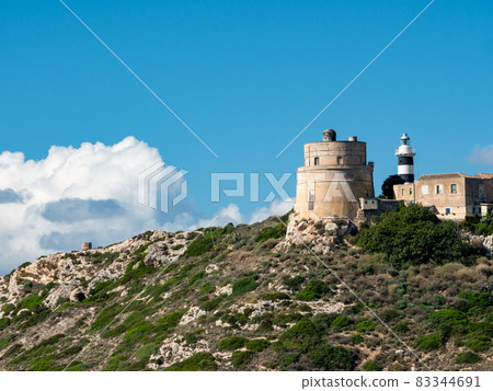 White lighthouse tower nearby evergreen tree along the mountain 83344691