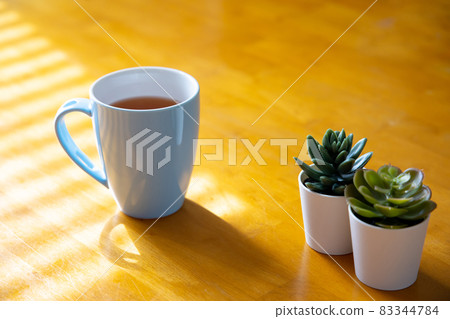 coffee cup and plants coffee cup and plants 83344784