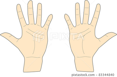 Image material showing the palms of both hands Image material showing the palms of both hands 83344840