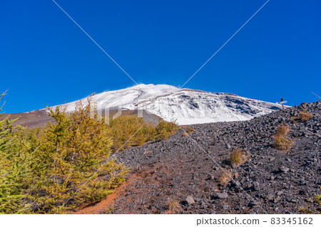 (靜岡縣)富士山、寶榮火山口、落葉松紅葉、白雪皚皚的山峰 (靜岡縣)富士山、寶榮火山口、落葉松紅葉、白雪皚皚的山峰 83345162