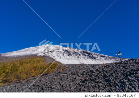 (Shizuoka Prefecture) Mt. Fuji, Hoei crater, autumn leaves of larch and snow-covered mountain peak 83345167