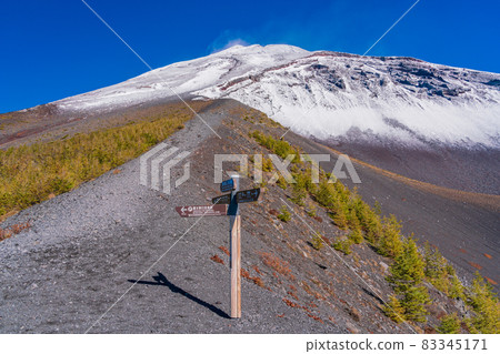(Shizuoka Prefecture) Mt. Fuji, Hoei crater, autumn leaves of larch and snow-covered mountain peak (Shizuoka Prefecture) Mt. Fuji, Hoei crater, autumn leaves of larch and snow-covered mountain peak 83345171