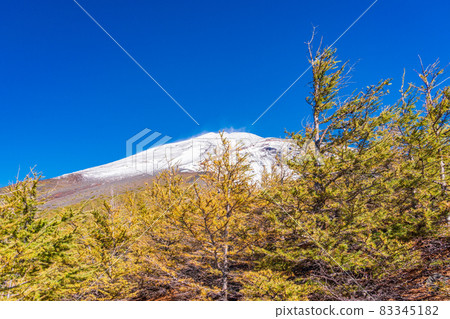 (Shizuoka Prefecture) Mt. Fuji, Hoei crater, autumn leaves of larch and snow-covered mountain peak (Shizuoka Prefecture) Mt. Fuji, Hoei crater, autumn leaves of larch and snow-covered mountain peak 83345182