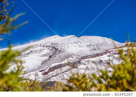 (Shizuoka Prefecture) Mt. Fuji, Hoei crater, autumn leaves of larch and snow-covered mountain peak 83345207