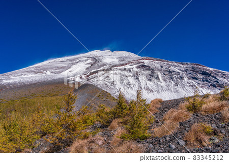 (Shizuoka Prefecture) Mt. Fuji, Hoei crater, autumn leaves of larch and snow-covered mountain peak (Shizuoka Prefecture) Mt. Fuji, Hoei crater, autumn leaves of larch and snow-covered mountain peak 83345212