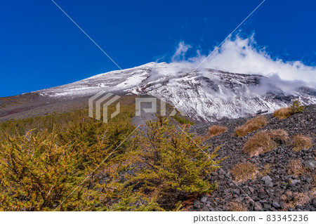 (Shizuoka Prefecture) Mt. Fuji, Hoei crater, autumn leaves of larch and snow-covered mountain peak (Shizuoka Prefecture) Mt. Fuji, Hoei crater, autumn leaves of larch and snow-covered mountain peak 83345236