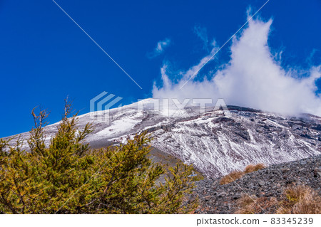 （靜岡縣）富士山、寶榮火山口、落葉松紅葉、白雪皚皚的山峰 83345239