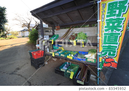 Farmer's unmanned sales office Vegetable direct sales office Producer direct sales Fresh vegetables 83345932