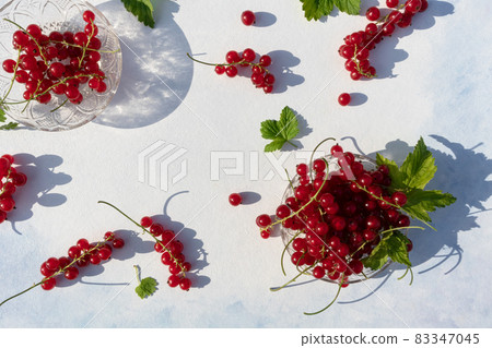 Fresh red currant berries on a light background with a place for your text. Poster. 83347045