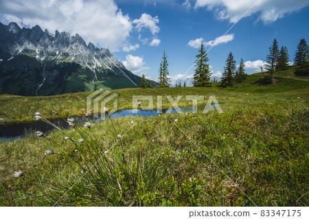 Mountain pond with Wilder Kaiser range reflecting in water, Tirol - Austria Mountain pond with Wilder Kaiser range reflecting in water, Tirol - Austria 83347175