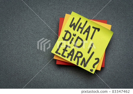 What did I learn? What did I learn? 83347462