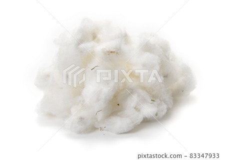 Cotton with seeds 83347933