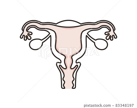 Simple illustration womb 83348197