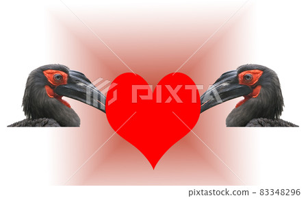 Valentine's Day, a card. Two large images of a black horned raven with red heart 83348296