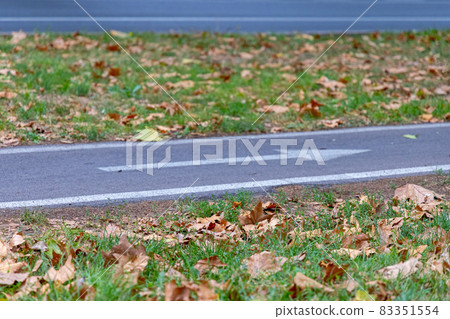 Park Lane Arrow Park Lane Arrow 83351554