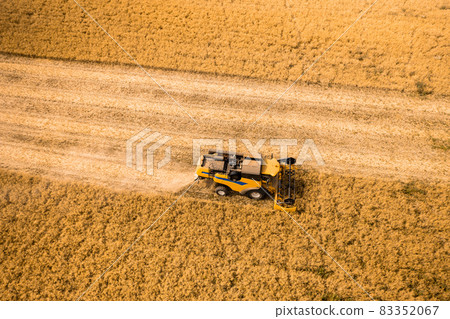 Top view of a combine harvester harvesting wheat from a field 83352067