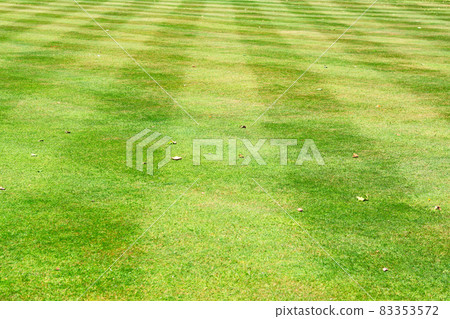 Football grass 83353572