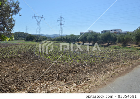 Poles and wires of high-voltage power lines Poles and wires of high-voltage power lines 83354581