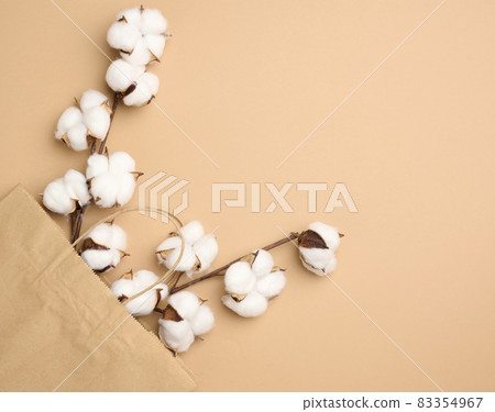 brown paper bag and a branch with cotton flowers on a light brown background, 83354967