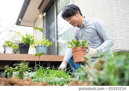 Middle man gardening in his garden Middle man gardening in his garden 83355214