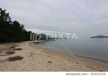 A landscape of sandy beaches with bow-shaped pine forests, the sea, peninsulas, mountains, towns, and cloudy skies 83355329