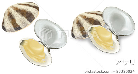 蛤lam的插圖 83356024