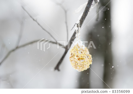 Homemade cookie made from seeds and cereals on a tree branch for the birds. Care of animals and birds during winter season. Wintertime activity for kids Homemade cookie made from seeds and cereals on a tree branch for the birds. Care of animals and birds during winter season. Wintertime activity for kids 83356099