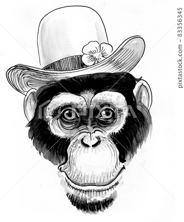 Chimpanzee in hat. Ink black and white drawing 83356345