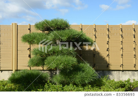 奈良縣馬祖大和郡山市太子堂覺觀寺院內 奈良縣馬祖大和郡山市太子堂覺觀寺院內 83356693