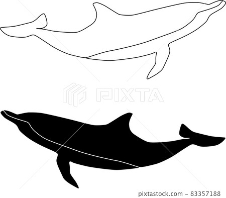 Silhouette of two dolphins Silhouette of two dolphins 83357188