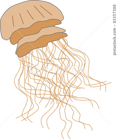 漂浮在海中的越前水母影像素材 83357388