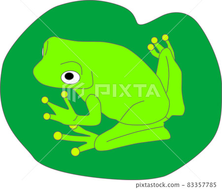 一隻可愛的青蛙騎在葉子上 一隻可愛的青蛙騎在葉子上 83357785