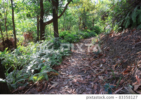 the landscape of Razor Hill, hong kong 17 Oct 2021 the landscape of Razor Hill, hong kong 17 Oct 2021 83358127