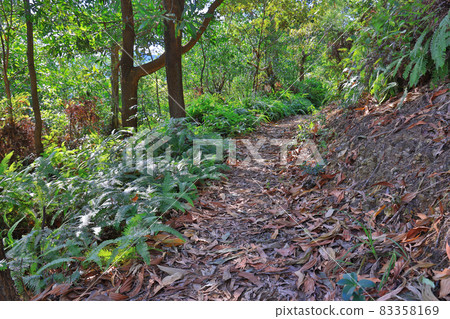 the landscape of Razor Hill, hong kong 17 Oct 2021 the landscape of Razor Hill, hong kong 17 Oct 2021 83358169