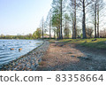 Lake in the park 83358664