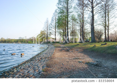 Lake in the park Lake in the park 83358664