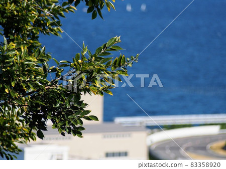 Sea and test course 83358920